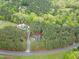 Bird's-eye view of the home surrounded by lush trees, highlighting its private setting at 749 Bowden Rd, Chapel Hill, NC 27516