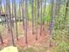 A wooded backyard featuring a playset with a slide and a swing for outdoor fun at 749 Bowden Rd, Chapel Hill, NC 27516