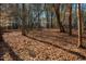 Leafy backyard with a hidden wooden playhouse nestled among the trees at 749 Bowden Rd, Chapel Hill, NC 27516