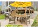 Backyard features outdoor dining area with wooden table and umbrella for sunny days at 749 Bowden Rd, Chapel Hill, NC 27516