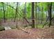 Backyard creek featuring a quaint bridge and forest surroundings at 749 Bowden Rd, Chapel Hill, NC 27516