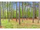 A backyard wooded area featuring a playset with a slide for outdoor fun at 749 Bowden Rd, Chapel Hill, NC 27516