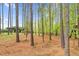 A backyard wooded area featuring a playset with a slide for outdoor fun at 749 Bowden Rd, Chapel Hill, NC 27516