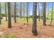 A backyard wooded area featuring a swing set and lots of shady trees at 749 Bowden Rd, Chapel Hill, NC 27516