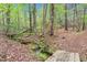 Scenic view of a peaceful creek flowing through a wooded area, showcasing a bridge at 749 Bowden Rd, Chapel Hill, NC 27516