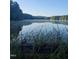 Scenic view of a calm lake at dawn, surrounded by lush greenery and serene nature at 749 Bowden Rd, Chapel Hill, NC 27516