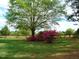 Expansive yard with lush green grass, mature trees, and vibrant pink azalea bushes at 5780 Plain View Hwy, Dunn, NC 28334