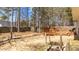 Large backyard with wooden deck and wooden fence at 613 Holly Thorn Trce, Holly Springs, NC 27540