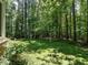 Lush backyard with mature trees providing shade and privacy at 107 Marseille Pl, Cary, NC 27511