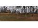 Expansive backyard featuring a wooden fence for privacy, surrounded by mature trees providing a tranquil outdoor space at 1520 Village Grove Ct, Hillsborough, NC 27278
