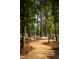 Scenic hammock area with winding gravel path perfect for relaxing and enjoying nature at 270 Inspiration Way Way, Fuquay Varina, NC 27526