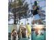 Recreation collage showing a pickleball game and Gathering fun in a tent and pool setting at 3930 Willow Gate Way, Raleigh, NC 27604