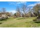 Expansive yard with mature trees, offering a serene and natural setting under a clear blue sky at 524 N Occoneechee St, Hillsborough, NC 27278