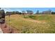 Large grassy backyard with mature trees, landscaping and plenty of room for outdoor activities at 634 Conover Rd, Durham, NC 27703