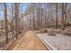 View of backyard featuring a fire pit, bocce ball court and a canopy of trees at 8015 Papaya Dr, Raleigh, NC 27613