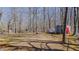 Expansive backyard featuring mature trees and storage sheds, offering ample outdoor space at 1253 Skyview Dr, Mebane, NC 27302