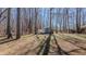 Expansive backyard with mature trees, a storage shed, and plenty of room for recreation at 1253 Skyview Dr, Mebane, NC 27302