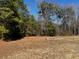 Secluded backyard showing natural landscaping, trees, and clear skies at 133 Sandcastle Ln, Four Oaks, NC 27524