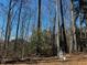 Secluded backyard surrounded by tall trees and natural landscaping, offering a tranquil outdoor setting at 133 Sandcastle Ln, Four Oaks, NC 27524