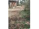 A view of the expansive backyard covered with leaves and ivy, providing privacy at 208 Essex Rd, Nashville, NC 27856
