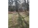 Expansive backyard with mature trees providing a private outdoor space at 208 Essex Rd, Nashville, NC 27856
