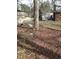 Spacious backyard with a storage shed, trees, and a car port visible in the distance at 208 Essex Rd, Nashville, NC 27856