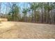 Large backyard featuring lush trees and privacy fence at 2515 Maplemere Ct, Durham, NC 27703