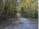 Long gravel driveway leading to a charming home surrounded by mature trees at 3011 Little Creek Ln, Hillsborough, NC 27278