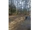 The backyard is covered in pine needles with woods in the background at 4805 Barbee Rd, Durham, NC 27713