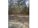 The backyard is covered in pine needles with woods in the background at 4805 Barbee Rd, Durham, NC 27713