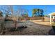 Fenced backyard features winter dormant grass and a mature tree with bare branches under a clear blue sky at 508 Stapleford Ln, Fuquay Varina, NC 27526