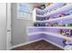 Spacious pantry featuring custom shelving with under-lighting and durable vinyl flooring at 124 Brookstone Way, Angier, NC 27501