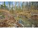 Natural backyard landscape featuring a flowing stream and rock features at 14 Winchester Ct, Durham, NC 27707