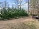 Beautiful backyard featuring lush greenery, mature trees, and a well-maintained lawn with plenty of space at 1404 Vanguard Pl, Durham, NC 27713