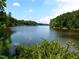 Scenic view of a serene lake surrounded by lush greenery under a blue sky at 2000 Falls Farm Crossing Xing, Raleigh, NC 27614