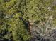 Aerial view of a wooded homesite and its surroundings, providing a private and peaceful setting at 2201 Knollwood Dr, Sanford, NC 27330