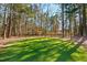 Expansive backyard lawn is surrounded by mature trees, offering a serene and private setting at 5300 Grand Gate Dr, Raleigh, NC 27613