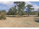 Expansive front yard with mature trees and distant view of the home at 75 Morgan Dr, Lillington, NC 27546