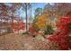 Backyard view featuring vibrant fall foliage, rock features, stepping stones, and a tranquil glimpse of the lake at 1315 Sagamore Dr, Louisburg, NC 27549