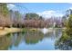 Scenic view of the community pond with a fountain, surrounded by lush greenery and mature trees at 205 Caniff Ln, Cary, NC 27519