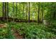 View of a private, wooded backyard with a storage shed at 2310 Woodbury Dr, Hillsborough, NC 27278