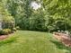 Lush backyard featuring a large grassy area surrounded by mature trees and landscaping at 2617 Jones Ferry Rd, Chapel Hill, NC 27516