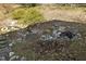 A backyard features a rock garden, a water feature, and natural landscaping at 6108 King Croydon Ct, Raleigh, NC 27603