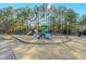 Community playground with slides, swings, and climbing structures, surrounded by mature trees at 1109 Frenchurch Way, Apex, NC 27502