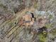 Aerial view of a cabin featuring a large deck surrounded by lush, mature trees at 279 Box Turtle Trl, Chapel Hill, NC 27516