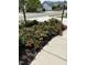 Charming front yard with manicured flower beds, providing vibrant curb appeal and beauty at 2851 Wilkes Lake Dr, Fuquay Varina, NC 27526