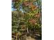 A serene image of trees changing color in the fall at 363 Rolling Meadows Ln, Chapel Hill, NC 27517