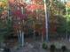 Scenic view of a wooded property featuring colorful trees with autumn foliage at 363 Rolling Meadows Ln, Chapel Hill, NC 27517