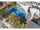 Aerial view of the pool and backyard area with palm trees, outdoor kitchen, and lounge seating at 3633 Jordan Shires Dr, New Hill, NC 27562