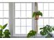 Bright windows showcasing a hanging plant and providing natural light at 4605 Erwin Rd, Durham, NC 27705